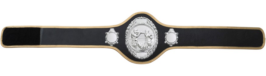 BOXING CHAMPIONSHIP BELT-PRO286/S/BOXS-10+ COLOURS